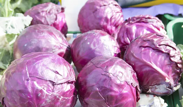 Red cabbage stall — Stock Photo, Image