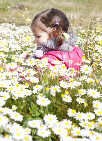 Kleinkind sitzt im Gänseblümchen-Feld — Stockfoto