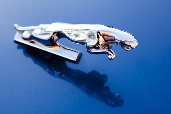 Jaguar sign over blue blackground — Stock Photo, Image