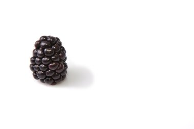 bir taze olgun böğürtlen