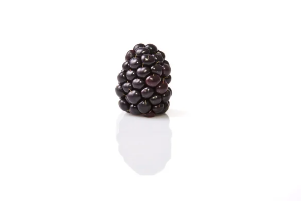 One fresh ripe blackberry — Stock Photo, Image