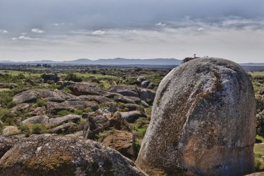Leylek ve taşlar. Doğal Park Barruecos, İspanya 