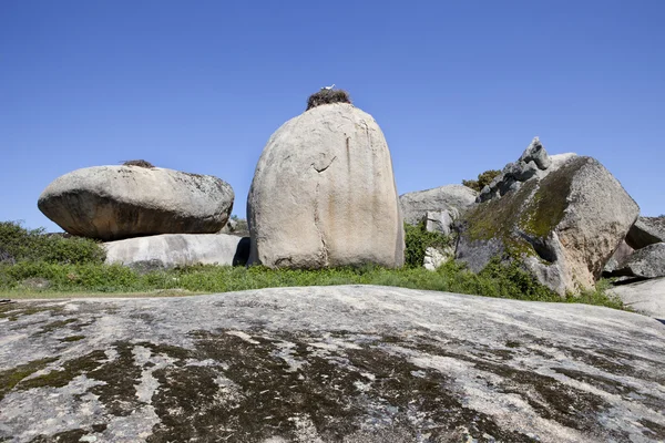 Cigüeñas y piedras. Parque Natural de Barruecos, España — Foto de Stock