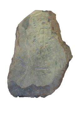 Avcılar rakamları ile antik taş resmin