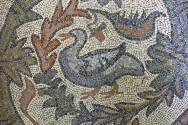Goose mosaic — Stock Photo, Image