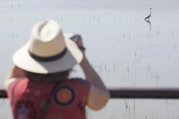 Зрелая женщина наблюдает за птицами — стоковое фото