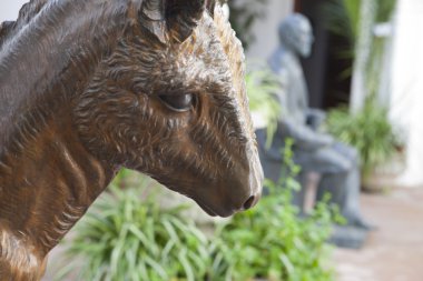 Writter ve onun eşek