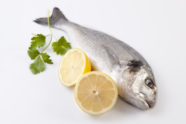 Raw sea bream fish with some ingredients clipart