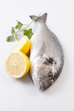 Bazı maddeler ile ham çipura balık