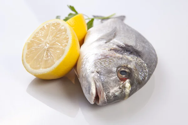 RAW havsruda fisk med några ingredienser — Stockfoto