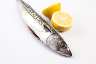Uskumru balığı ve limon