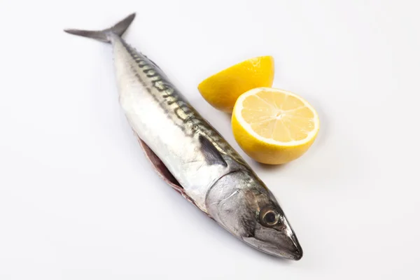 Рыба-макрель и лимон — стоковое фото