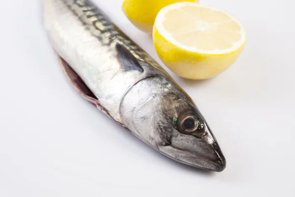 Рыба-макрель и лимон — стоковое фото