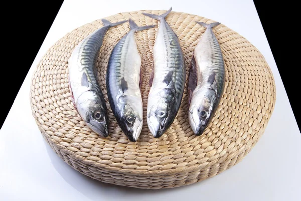 Four mackerels fish over rattan surface — Stock Photo, Image