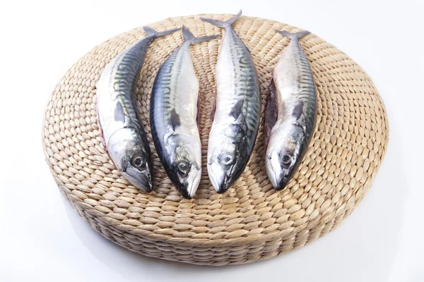 Four mackerels fish over rattan surface — Stock Photo, Image