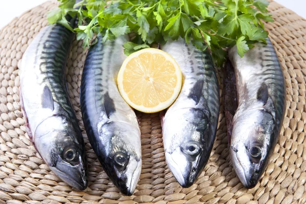 Four mackerels fish over rattan surface — Stock Photo, Image