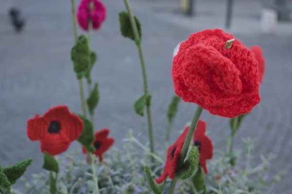 Crochet poppy — Stock Photo, Image