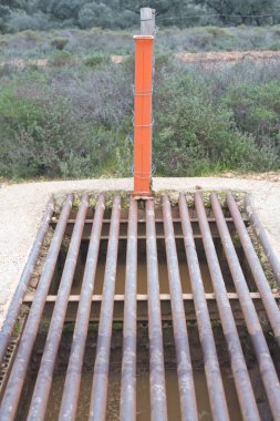 Sığır ızgara dehesa üzerinde