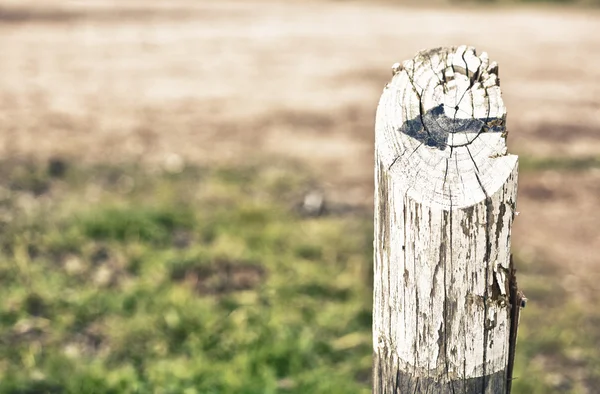 A fekete nyíl festett pole — Stock Fotó