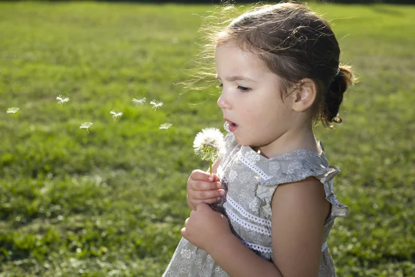 Blowing on a dandelion over green — Stock Photo, Image