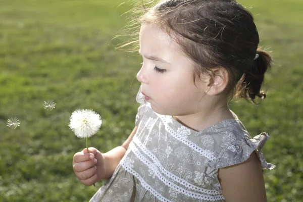 Blowing on a dandelion over green — Stock Photo, Image