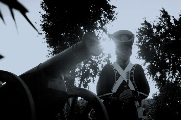 Наполеоновская артиллерия — стоковое фото