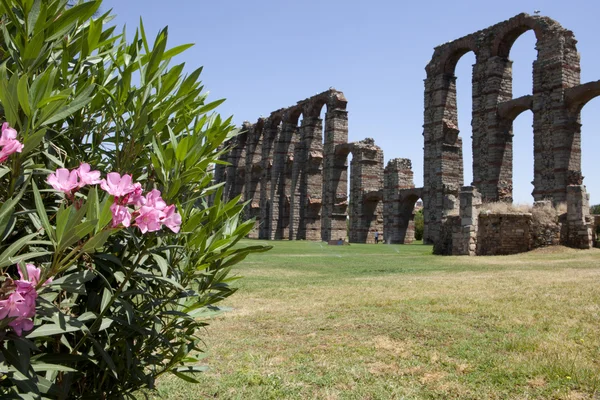 Rosebay ve Merida Roma su kemeri — Stok fotoğraf