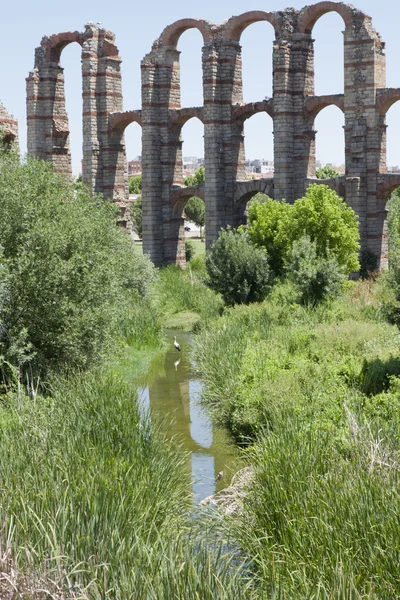 Stork close to Roman Aqueduct of Merida — Stock Photo, Image