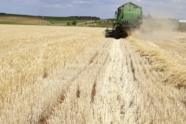 Memanen barley — Stok Foto