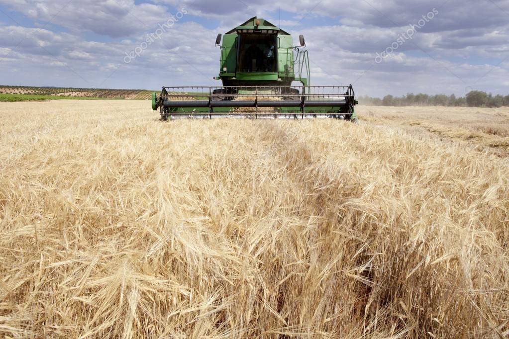 Harvesting barley — Stock Photo © Juan_G_Aunion 73992463