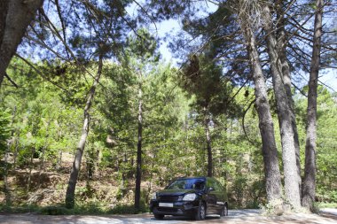 Orman parçaları tarafından sürüş