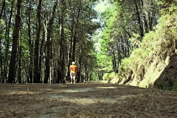 Visitante forestal —  Fotos de Stock