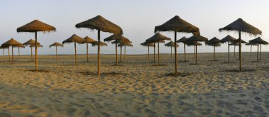 Rustik şemsiye panoramik