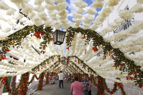 Фестиваль цветов в Кампу-Майор, Португалия — стоковое фото
