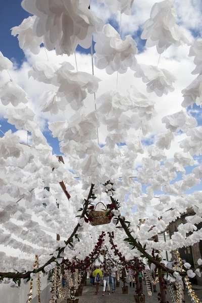 Festival de fleurs à Campo Maior, Portugal — Photo