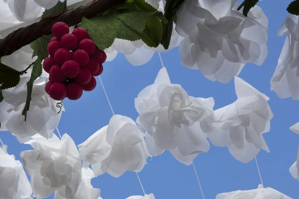 Uvas de papel, Campo Maior, Portugal — Fotografia de Stock