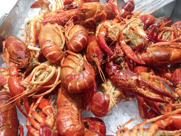 Red swamp crawfish for sell — Stock Photo, Image