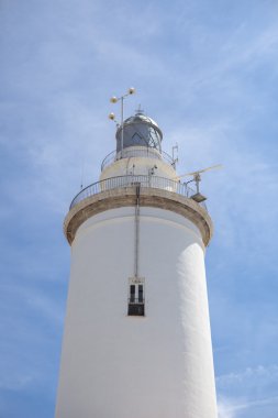 Beyaz badanalı deniz feneri