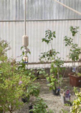 Hava nebulizör sulama sistemi. İçerideki sulama için bahçe malzemeleri.