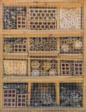 Tahta böcek evi. Kamu parkındaki ağaçta asılı tahta böcek oteli.