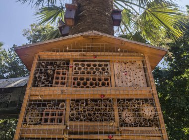 Tahta böcek evi. Kamu parkındaki ağaçta asılı tahta böcek oteli.