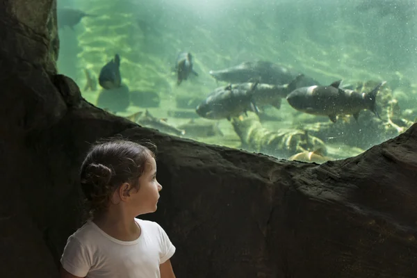 Menina criança visitando um aquário do rio — Fotografia de Stock