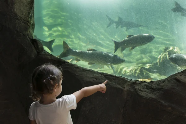 Petite fille visitant un aquarium de rivière — Photo