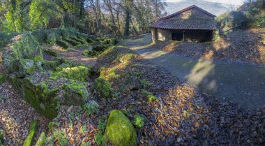 Tio Alicio petrol fabrikası Valdastillas, Jerte Valley, Caceres, Extremadura, İspanya 'dan Marta Ravine' e yakın bir yere yerleştirildi.