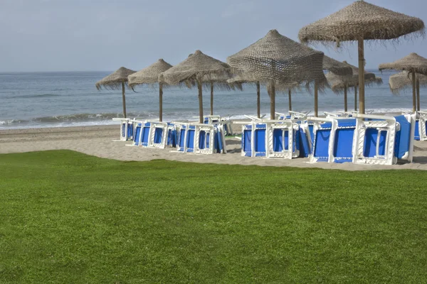 Playa y hierba — Foto de Stock