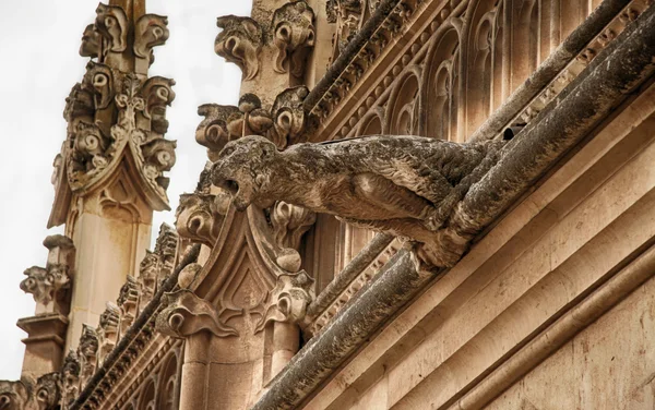 Monastery of Saint John of the Kings gargoyle — Stock Photo, Image