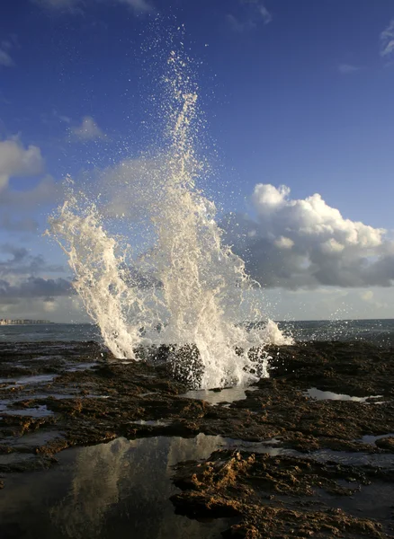 Mořská voda trysky na skalách pobřeží Cádiz, Španělsko — Stock fotografie