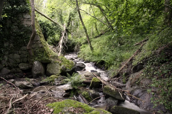 Stream of Ambroz Valley, Banos de Montemayor, Extremadura — Stock Photo, Image