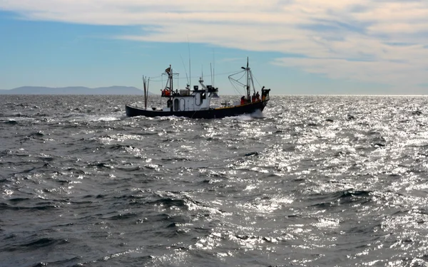 Navire de pêche en action — Photo
