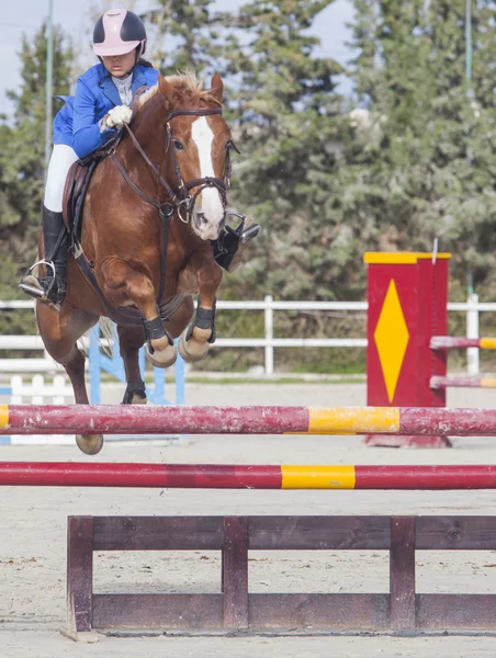 Jinete chica saltar con caballo — Foto de Stock